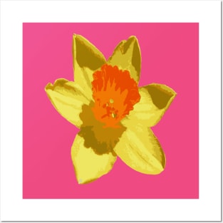 Spring Daffodil Vector Isolated Posters and Art